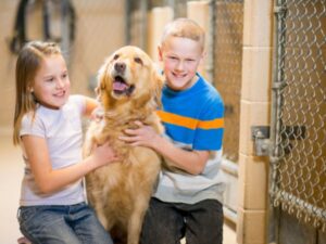These are our tips for success when adopting a dog!