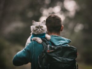 The Importance of Humane Animal Control