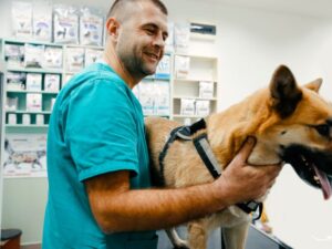 Bridgeview Pet Wellness Clinic: Your Pet’s Health Hub