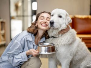Evermore Pet Food: The Natural Choice for Your Furry Friends