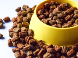 The Ultimate Guide to Pet Food Forum: Everything You Need to Know