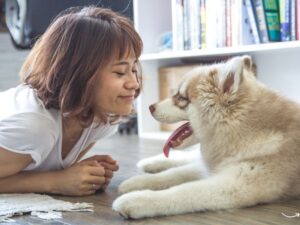 Finding Hope and Homes: Understanding the Vital Role of Animal Shelters”