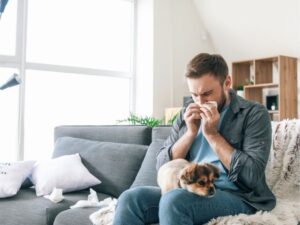 Companion Animal Hospital: A Comprehensive Guide