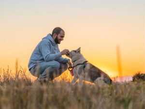 The Heart of Animal Rescue: Saving Lives One Paw at a Time