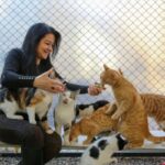 holistic pet care tips