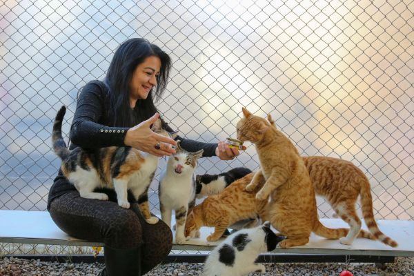 holistic pet care tips