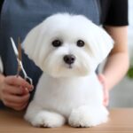 best grooming kits for dogs