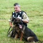 training working dogs for herding
