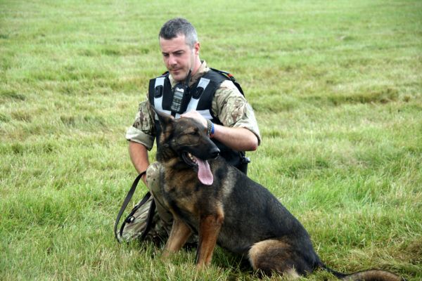 training working dogs for herding