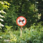 signs of arthritis in dogs