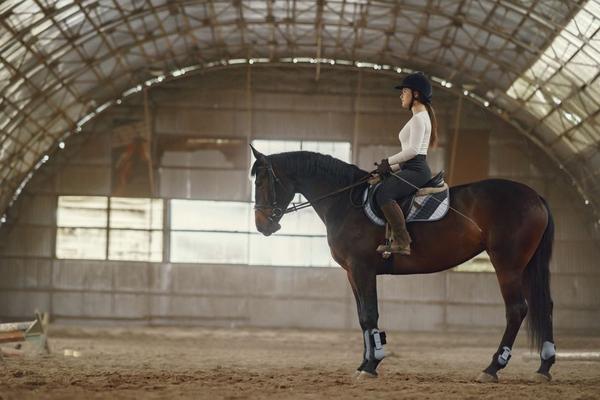 horse riding posture