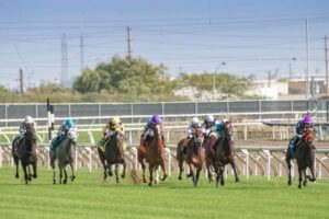 Thoroughbred Horse Characteristics, Temperament and Care